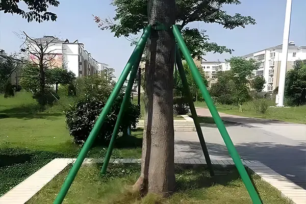 Tree Support Pole