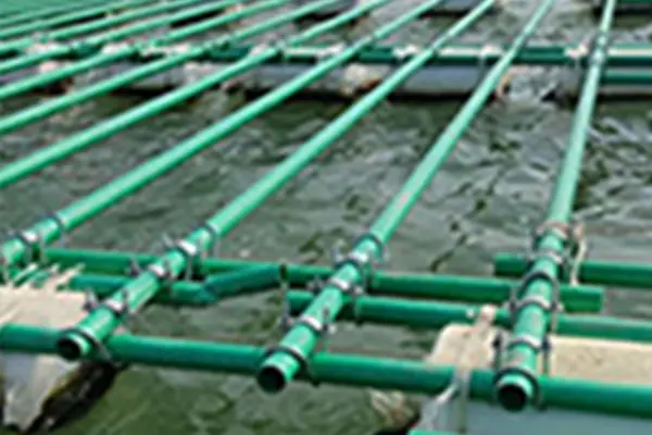 Aquatic Support Pole