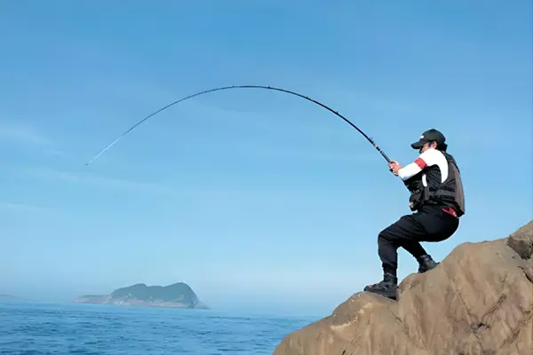 Carbon Fibre Telescopic Poles