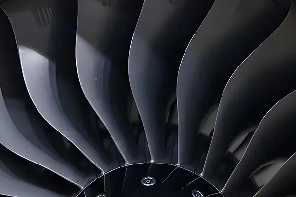 fan