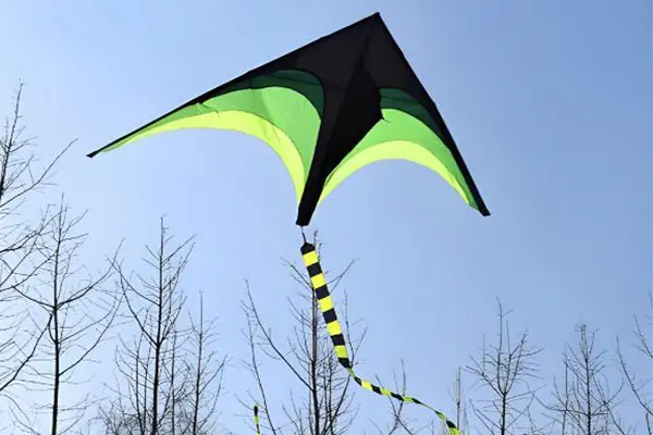 kite