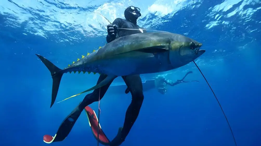 fishing3